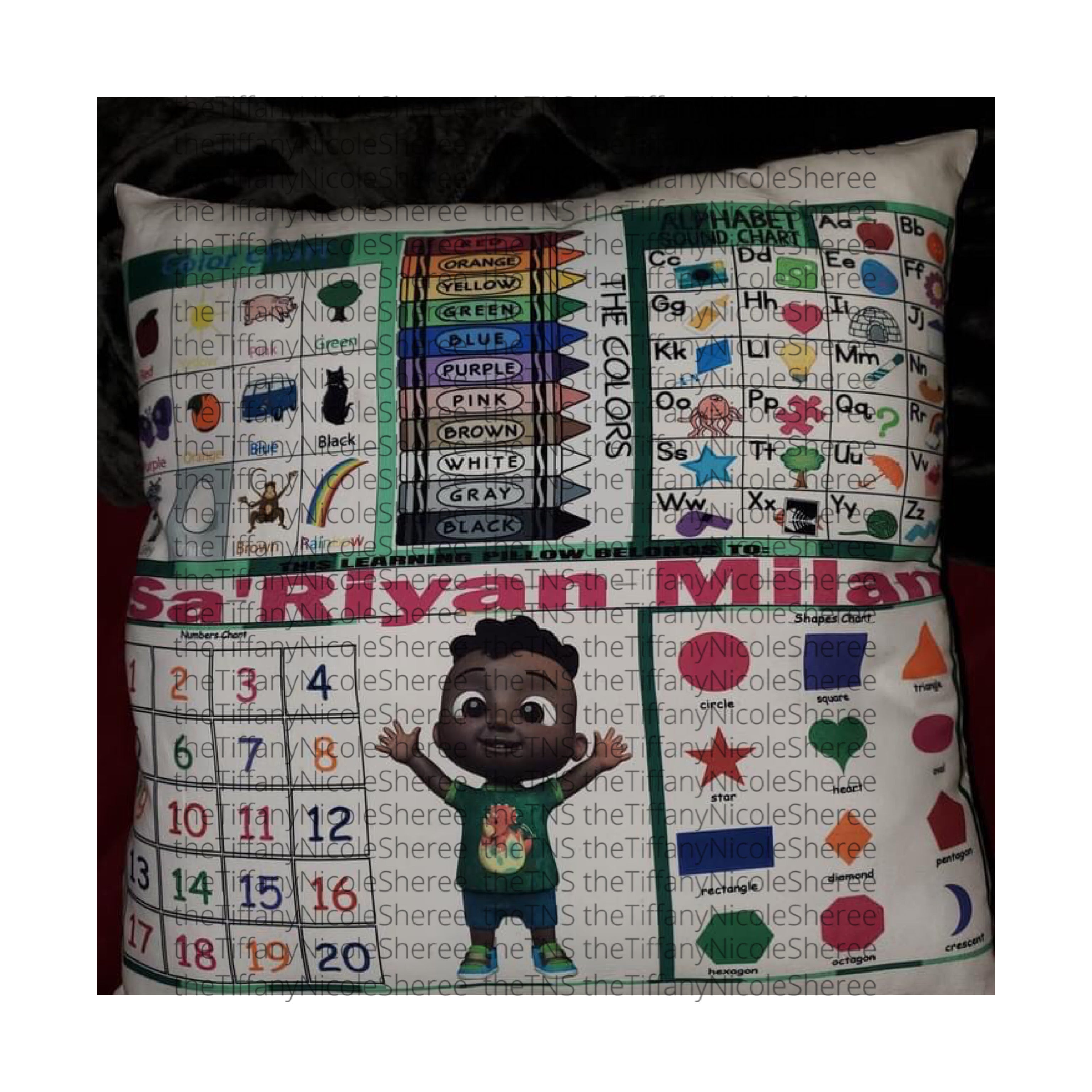 Learning Pillow coco melon character