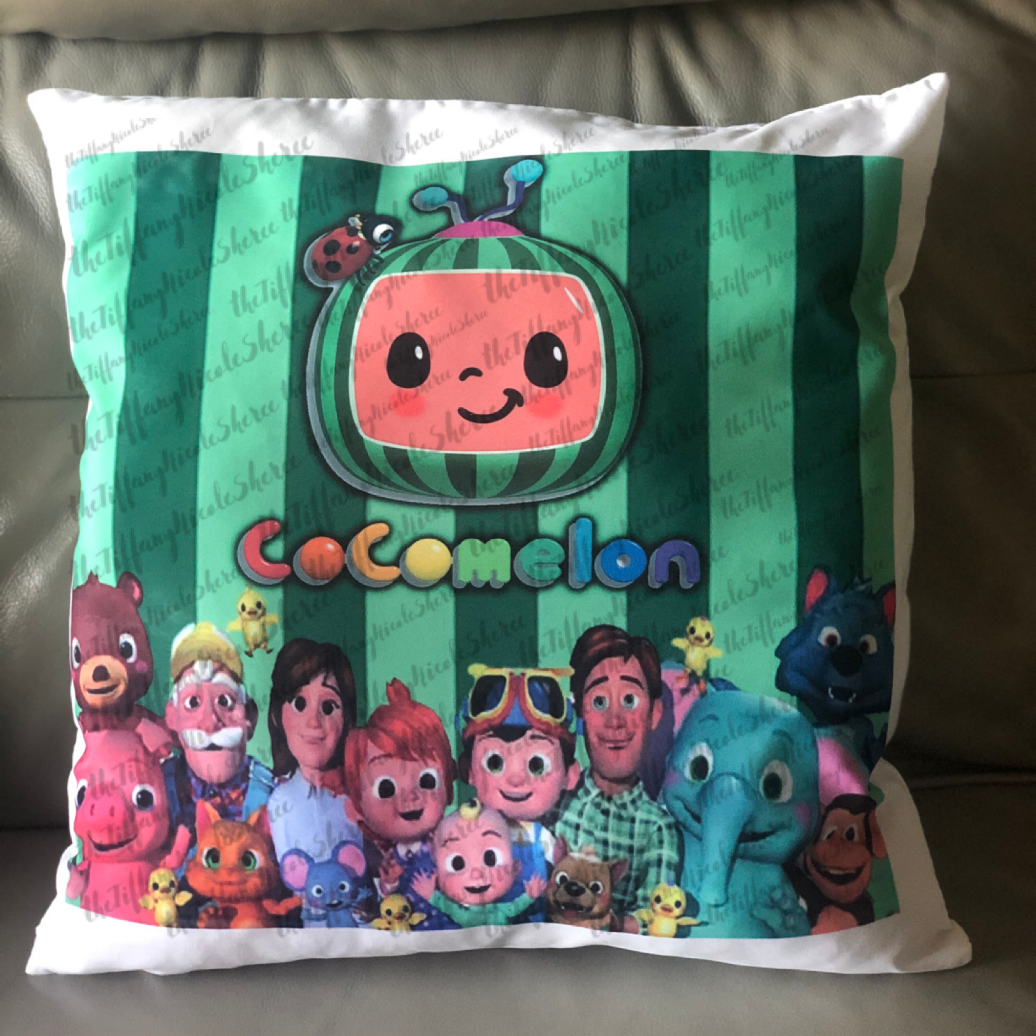 Learning Pillow coco melon character